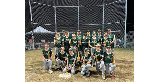 2023 12U District Champions, State Runner Up